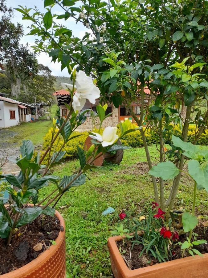 Finca Hotel El Paraiso Barbosa  Extérieur photo